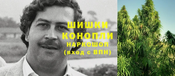 хмурый Белокуриха