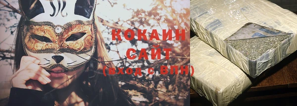хмурый Белокуриха
