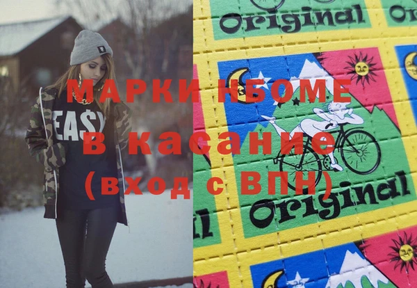 хмурый Белокуриха