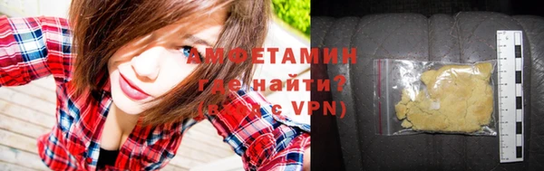 хмурый Белокуриха