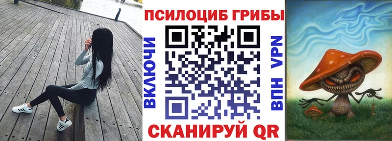 Галлюциногенные грибы ЛСД  Городец 
