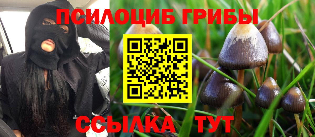 Псилоцибиновые грибы прущие грибы Городец