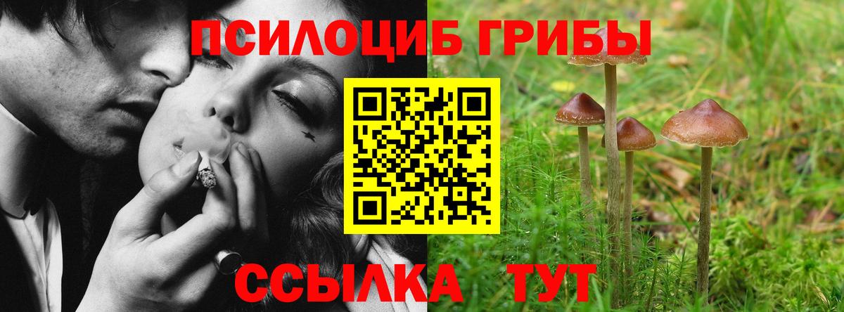 Галлюциногенные грибы мухоморы  Вход с VPN  Городец  Псилоцибиновые грибы GOLDEN TEACHER 