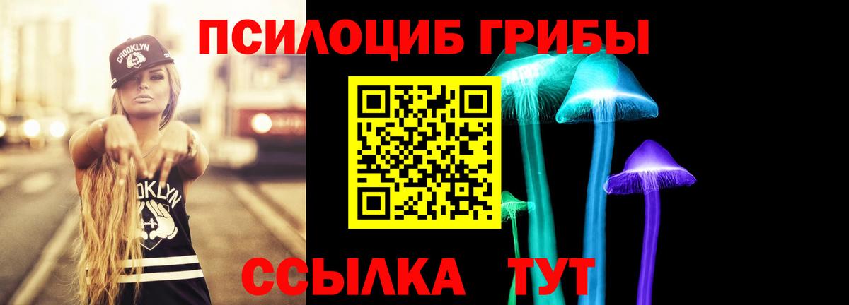 Галлюциногенные грибы мицелий  Городец  Галлюциногенные грибы Cubensis 