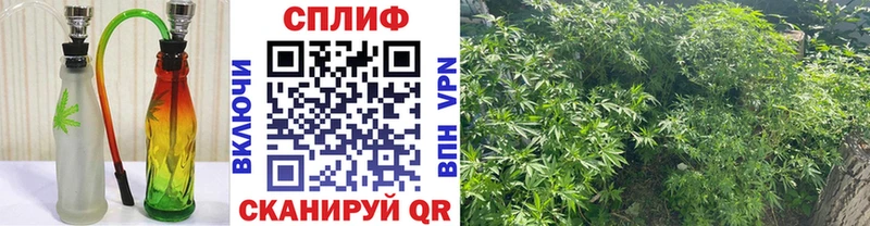 hydra онион  Городец  Шишки марихуана гибрид 